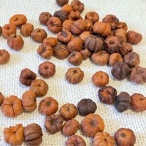 5 Dollhouse Miniature Halloween Fall Harvest Pumpkin Jack'o'lantern Thanksgiving